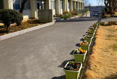 1月14日　花壇の様子4