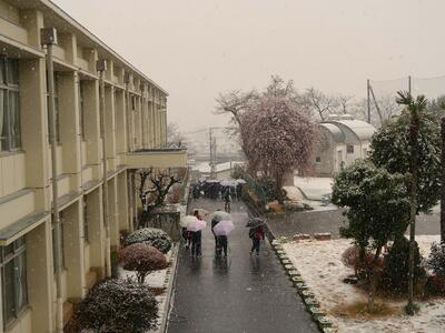 ２月５日　下校時の降雪の状況３時４０分