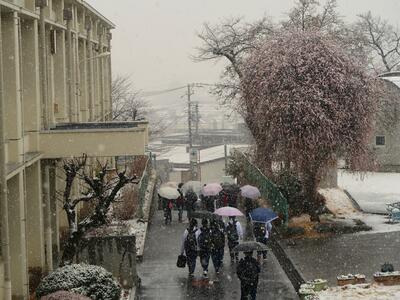 ２月５日　下校時の降雪の状況2