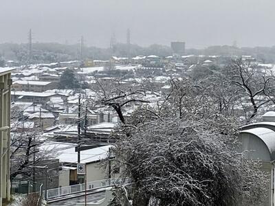 3月8日荒幡方面の風景